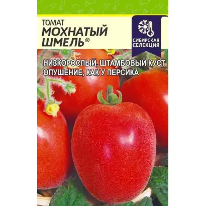 МОХНАТЫЙ ШМЕЛЬ
