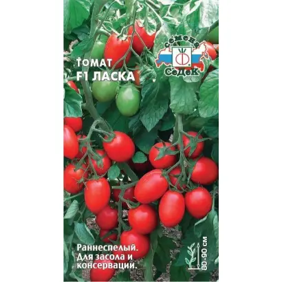 ЛАСКА