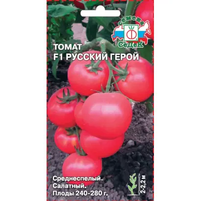 РУССКИЙ ГЕРОЙ