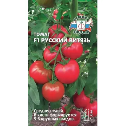 РУССКИЙ ВИТЯЗЬ