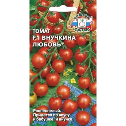 ВНУЧКИНА ЛЮБОВЬ