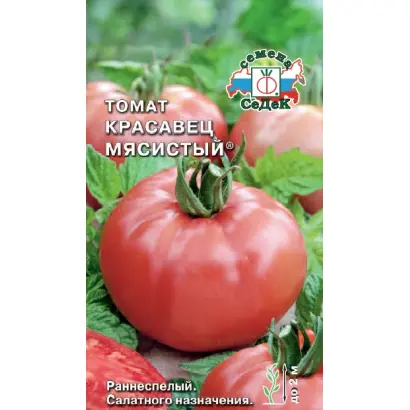 КРАСАВЕЦ МЯСИСТЫЙ