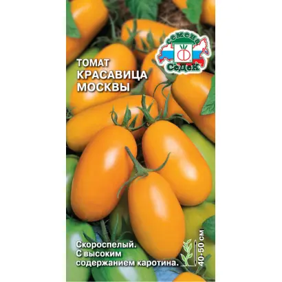 КРАСАВИЦА МОСКВЫ