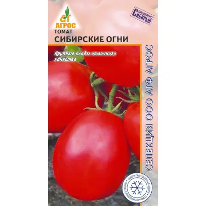 СИБИРСКИЕ ОГНИ