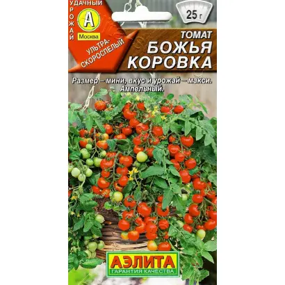 БОЖЬЯ КОРОВКА