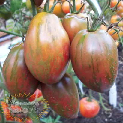 СЛАДКОЕЖКА