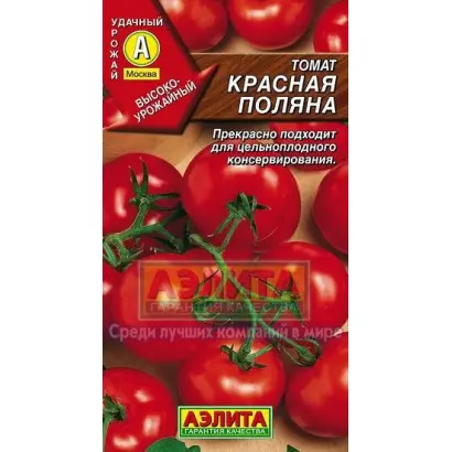 КРАСНАЯ ПОЛЯНА