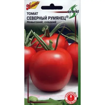 СЕВЕРНЫЙ РУМЯНЕЦ