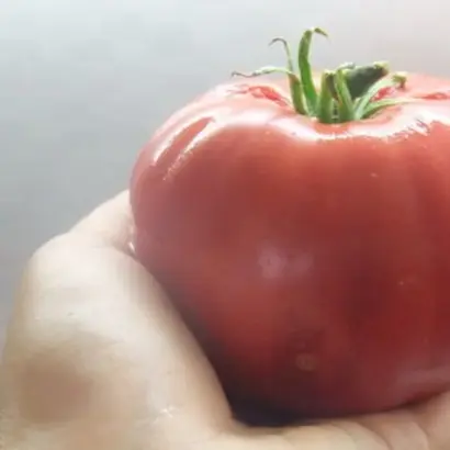 МАЛИНОВЫЙ ГЛОБУС