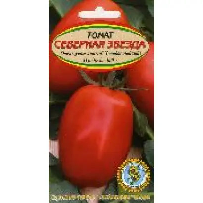 СЕВЕРНАЯ ЗВЕЗДА