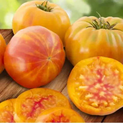 ЗАГАДКА ПРИРОДЫ