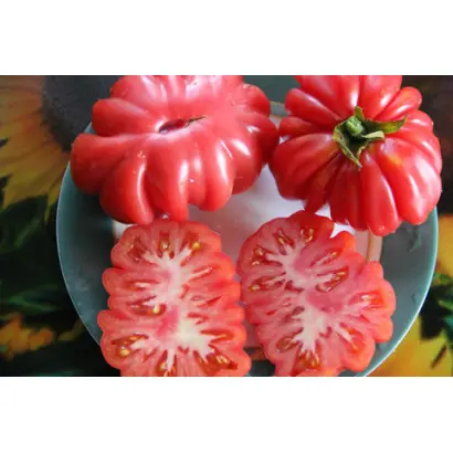 ГРИБНОЕ ЛУКОШКО