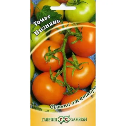 ПОЗНАНЬ