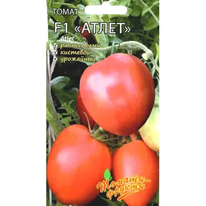 АТЛЕТ