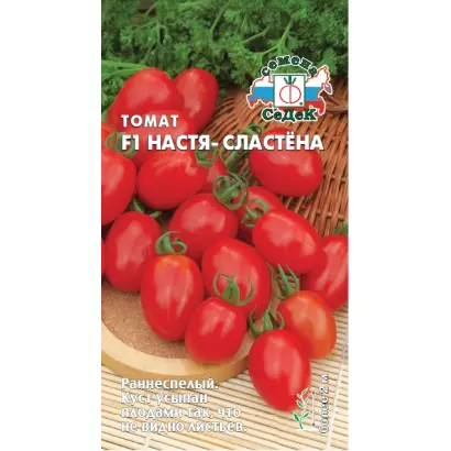НАСТЯ-СЛАСТЕНА
