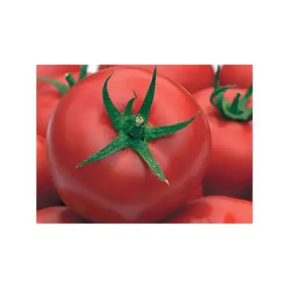 ЦЮРУПИНСКИЙ