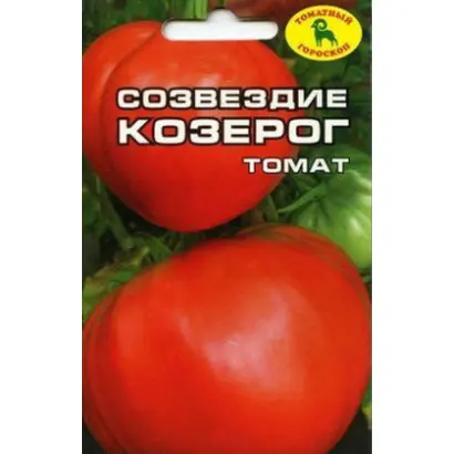 СОЗВЕЗДИЕ КОЗЕРОГА