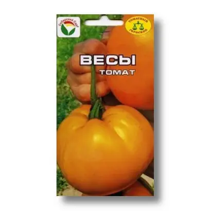 СОЗВЕЗДИЕ ВЕСОВ