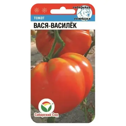 ВАСЯ-ВАСИЛЕК