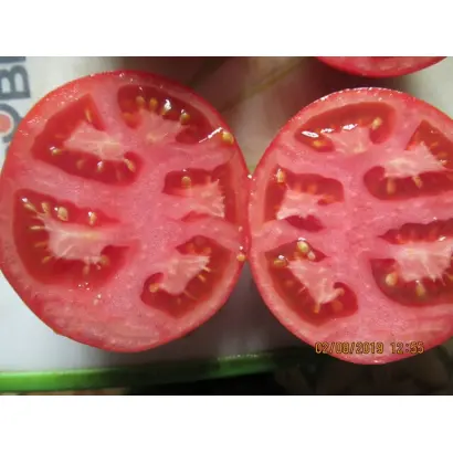 СОЗВЕЗДИЕ РЫБЫ