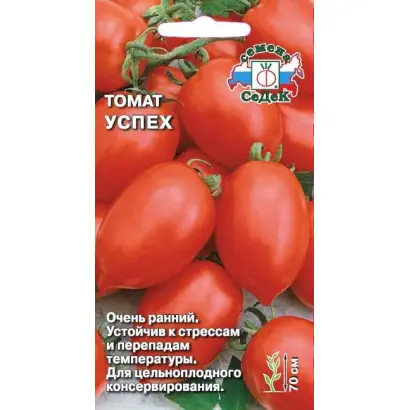 РАННИЙ УСПЕХ