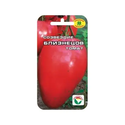 СОЗВЕЗДИЕ БЛИЗНЕЦЫ