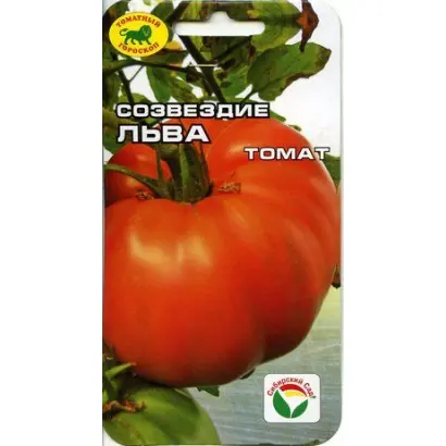 СОЗВЕЗДИЕ ЛЬВА