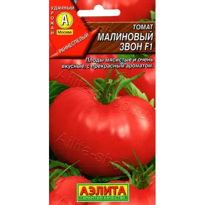 МАЛИНОВЫЙ ЗВОН