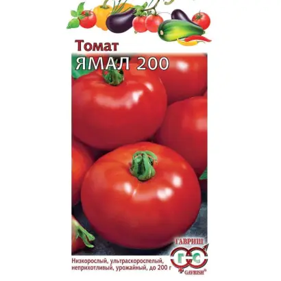 ЯМАЛ 200