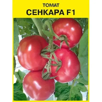 СЕНКАРА
