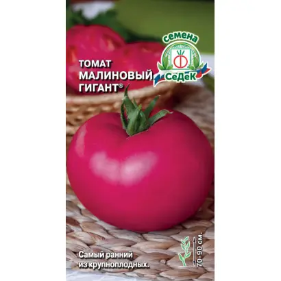 МАЛИНОВЫЙ ГИГАНТ