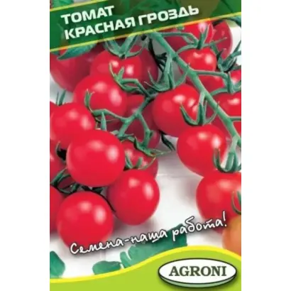 КРАСНАЯ ГРОЗДЬ