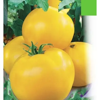 ИЛЬЯ МУРОМЕЦ