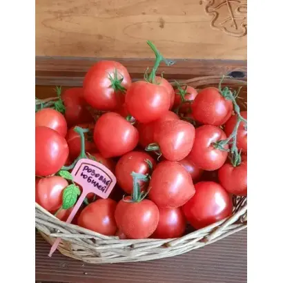 ЮБИЛЕЙ ПОДМОСКОВЬЯ