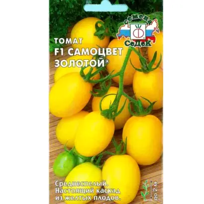 САМОЦВЕТ ЗОЛОТОЙ