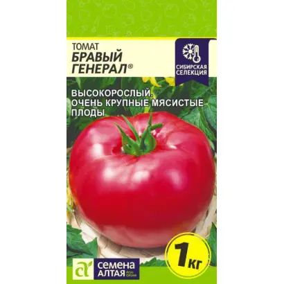 БРАВЫЙ ГЕНЕРАЛ