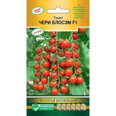 ЧЕРИ БЛОСЭМ