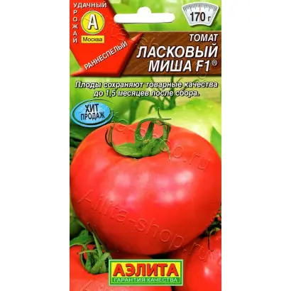 ЛАСКОВЫЙ МИША