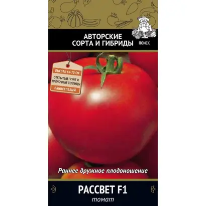 РАССВЕТ