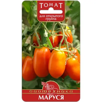 МАРУСЯ