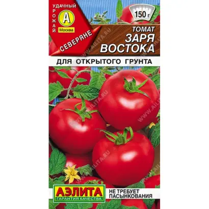 ЗАРЯ ВОСТОКА