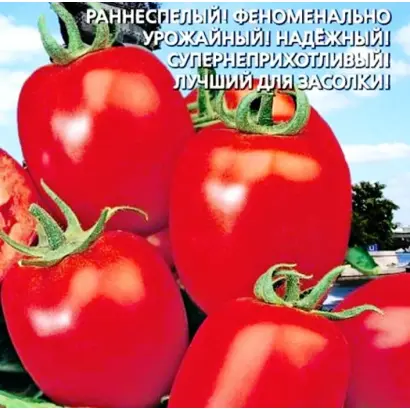 ПЕТРОВСКИЙ