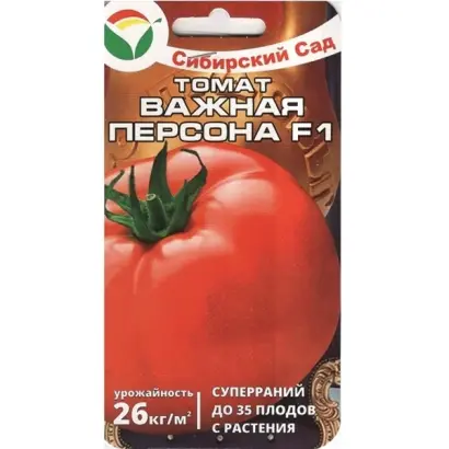 ВАЖНАЯ ПЕРСОНА