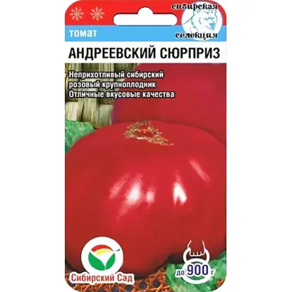 АНДРЕЕВСКИЙ СЮРПРИЗ