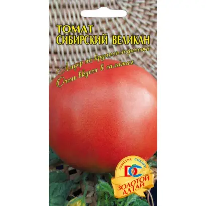 СИБИРСКИЙ ВЕЛИКАН