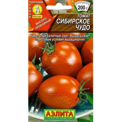 СИБИРСКОЕ ЧУДО