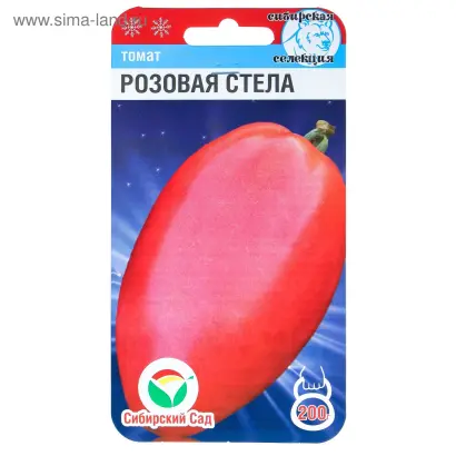 РОЗОВАЯ СТЕЛА