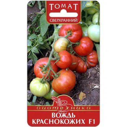 ВОЖДЬ КРАСНОКОЖИХ