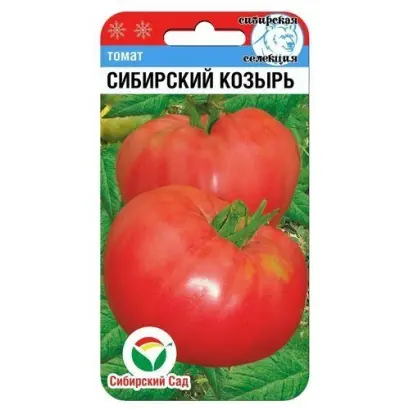 СИБИРСКИЙ КОЗЫРЬ