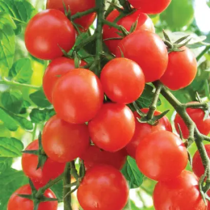 КАРАМЕЛЬ КРАСНАЯ